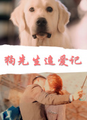 利用数据分析识别百度SEO负面权重信号